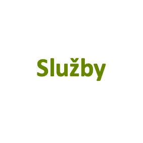 Služby